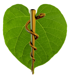 Ayurveda Medizin Logo